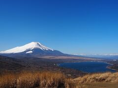 富士山と山中湖とアルプスの絶景！パノラマ台からの、鉄砲木ノ頭