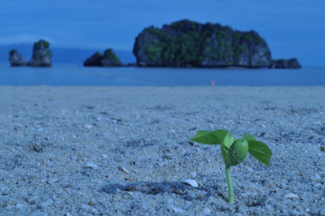 マレーシアのリゾート地、ランカウイ島へ行きました。2011年の旅行記です。大自然の島で観光スポットは正直少ないですが、落ち着いた大人のリゾートな感じです。海もマングローブも食事も大満足でした。隠れビーチリゾートの「タンジュンルー」と熱帯雨林に囲まれた「アンダマン」に宿泊しました。
