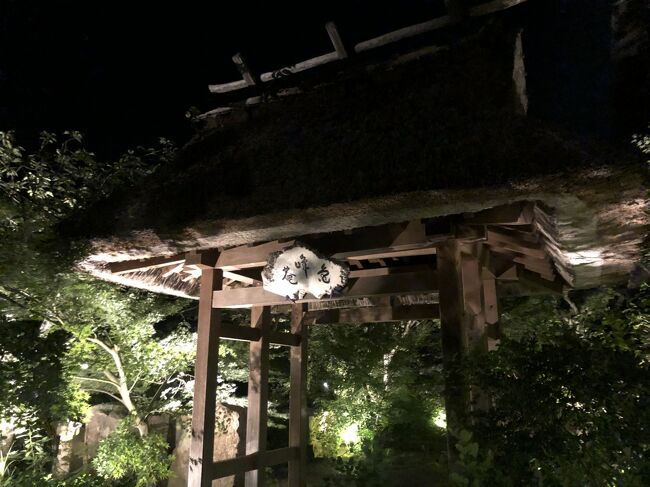 父の納骨後のお参りで母と2人で京都へ<br />母の年齢を考慮してゆったりとした旅行程にしました。<br /><br />一番の楽しみにしていた保津川下りは増水のため運航中止<br />次回の楽しみに取っておく事になりました<br />それでも美味しい物を頂き、伺いたかった寺院へ行き<br />1泊2日の京都旅を満喫出来ました<br /><br />移動は自家用車のみ<br />宿泊先は亀岡にある『すみや亀峰菴』で1泊しました<br /><br /> <br /><br /><br />