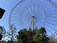 観覧車に乗りたくて葛西臨海公園へ