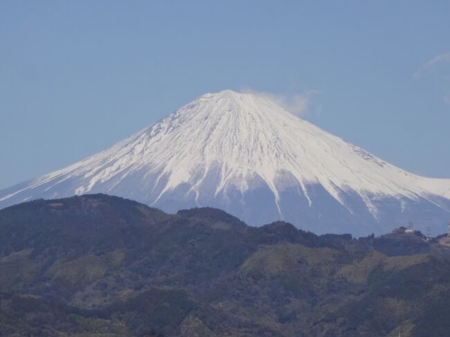 コロナ禍ではありますが、隣県を訪れました。<br /><br />例年なら年末年始を静岡市のシティホテルで過ごすのですが、今年はコロナウイルス感染が急増したため中止しました。<br /><br />昔は品川駅前のホテルで年末年始をゆっくり過ごしたものでしたが、コスパが悪く、コスパも良く客室レベルが数段上の静岡駅至近のシティホテルを定宿としていました。<br /><br />しかし、この緊急事態宣言レベルでは静岡市もリスキーとして諦めたものでした。<br /><br />が、幸い住まいのある神奈川も隣県の静岡もコロナウイルス感染者数が急減してきましたので時節遅れの参拝をかねて訪れましたーーー。