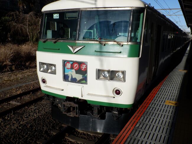 ３月１３日で定期運用を離脱する１８５系踊り子号の特急踊り子１４号に乗って帰京しました。