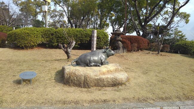 明治４３年大倉財閥の寄贈を受けて整備された公園です。<br />最寄り駅は地下鉄大倉山駅、JR神戸駅の北に有り徒歩でも行けます。<br />近くに市立図書館、野球場も有ります。<br />まだまだ寒い日が続きますが、梅でも咲いていないかなあと思い出かけました。<br />少し暖かい日を選んで、出かけましたが花はまだ咲いていなかったです。<br />ランニングコースには、ちらほらの人も・・。<br />