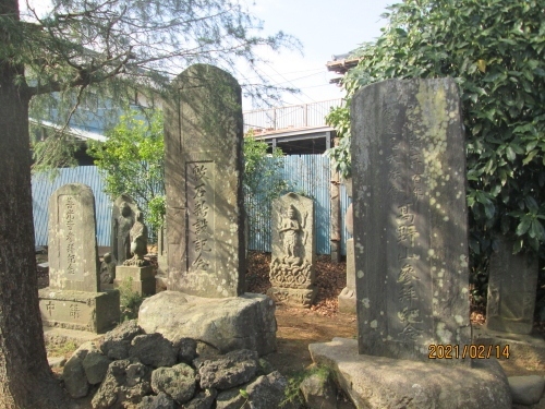 「我孫子市史」による長福寺の縁起　長福寺（新木1984） 山号玉桜山　真言宗豊山派　もと龍泉寺末。永禄元年（1558）龍泉寺の永楽法印がここに隠棲したのにはじまる。ただし、当所発見の板碑に長享二年(1488)権律師覚永と刻んだものがあることから、古く堂庵があったとも考えられる。古記録がないのでその後のことが分らないが、寛文六年（1666）銘金剛盤が伝えられており、寛文十一年（1671）造立の五輪塔に長福寺長厳の名がみえ、元禄七年1694)の長厳の墓塔もある。以後、宝永年間1704～11)に隆智法印が在住、その他にも当寺の僧職の墓塔とみられるものが散見される。また、当寺は旧沖田弁財天の別当寺で、明和元年(1763)の弁天堂建立に当って勧進を行った。安永四年(1775)の相馬霊場設立に際しては、第八十一番讃岐白峯寺写しとなり、本尊は千手観音とされた。ついで、文化四年(1807)には大師堂を造立し、その後も三十三観音の造立寄進などが行われたが、幕末に至って無住となり、明治初年廃寺となった。さらに、戦後は新木青年館が建設されて、旧寺の仏像什物はその一室に収納されたが、昭和六十三年に旧薬師堂が改築され、本尊像その他をその堂内に移して安置保存するようになった。改築された堂は、向拝付、入母屋造、銅板葺である。もとは、石造薬師如来像を安置していたので薬師堂とよびならわしてきたが、いまは本尊千手観音を中心に安置しているので、観音堂とよぶべきかもしれない。<br />参考にさせていただいたブログは下記です。<br />石仏神心　89　北総石仏　我孫子市の石仏　新木に詳しく書かれています。<br />http://sekibutu.blogspot.com/<br />