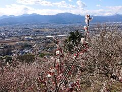 梅の花が見頃の曽我梅林散策と見晴台へプチ登山