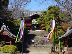 東京の古寺を巡る（護国寺と伝通院）