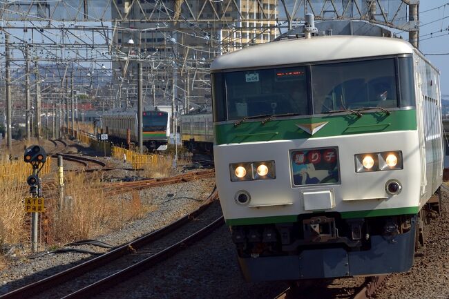 曽我別所梅まつり観光協会さんのHPに「開花が進み、見頃となりました!早目のご来園をお勧めいたします。」と呼び掛けられましたので、小田原梅の里さんぽに出掛けました。<br /><br />公式HPはコチラ<br />https://soganosato.com/index.html<br />