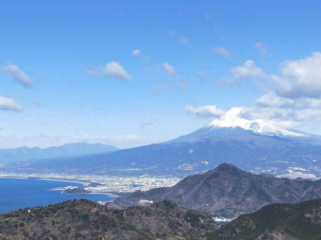 長引くコロナ禍で海外旅行も封印したまま、GoToトラベルも休止でしばらくおとなしくしていたけれど、たまにはどこかにでかけたいよね！と、隣県まで日帰りドライブ旅にでかけました。<br /><br />行き先は、「伊豆の国パノラマパーク」。たまたまWeb記事で見かけてその富士山ビューに目がくぎづけ！比較的近くなのに、こんな場所があるなんて今まで知らなかった！<br /><br />前日、前々日と休園になったほどの強風のおかげで、この日は快晴で景色もバッチリ。思ったほど寒くもなくて、期待通りの富士山ナイスビューが楽しめました！