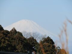 明治学院大・遠望橋脇から見る富士山－2021年早春