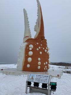 紋別プリンスホテル　層雲峡ホテル大雪のはずが暴風警報通行止めでルートイン北見大通西　幻の流氷ガリンコ号～