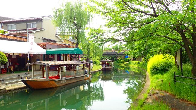 京都旅行最終日は念願の十石舟に乗ります!<br />ほどほど早く伏見に向かい、月桂冠大倉記念館横の船着き場まで行きます。<br />十石舟に乗船し、川をのんびり進みます。青もみじがきれいで伏見の街を歩くのとはまた違った風景がなかなか良かったです!<br /><br />三栖閘門にて下船、20分ほど三栖閘門資料館を見学。三栖閘門はパナマ運河と同じ仕組みでつくられた閘門です。<br />弁天橋から出るお客さんがいなかったようなので、そのまま舟は待機していて、同じ舟に乗りこんで戻ります。<br />50分ほどですが、川から龍馬像を見たりできるので楽しかったです!<br /><br />鳥せいにてランチ。あいかわらず鶏飯美味しいです!<br />ランチ後は黄桜のカッパカントリーを見学。<br /><br />そして東寺。<br />その後はリッチに伊右衛門サロンでティータイムをしました。