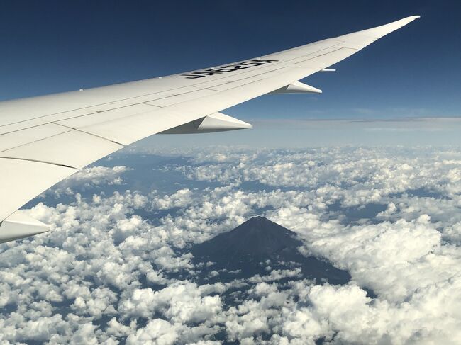 2020年3月に行ったフランス・パリの旅行記も機内編から作成しなくては<br />いけません。<br />先に2020年9月に大阪へ行った旅行記を完成させたいと思います（焦）<br /><br />Go To Travelキャンペーンは、東京発着の旅行が除外されていましたが、<br />2020年10月1日から除外が解除される方向になりました。<br />（その後、2020年12月28日から全国一斉停止になりましたが・・・。）<br />私は混んでいる連休や高い時期は旅行を避け、空いている平日に往復とも<br />ANA便を利用して大阪へ飛びました。<br /><br />ANA便は「ANA SUPER VALUE 28」（ご搭乗日の28日前迄）で予約し、<br />東京から新大阪まで東海道新幹線を利用した場合の料金（普通車指定席：<br />13,870円/名）よりもお得に大阪に行くことができました (^^♪<br /><br />＜往路＞<br />◇ NH17便（東京・羽田空港 9:00発 ― 大阪・伊丹空港 10:10着）<br />普通席（スーパーバリュー28）　12,000円/名<br /><br />＜復路＞<br />◇ NH38便（大阪・伊丹空港 19:00発 ― 東京・羽田空港 20:15着）<br />普通席（スーパーバリュー28）　12,000円/名<br /><br />本旅行記では羽田空港第2ターミナル内にあるANAの航空会社ラウンジ<br />『ANAラウンジ』＆有料ラウンジ（クレジットカード会社ラウンジ）巡り<br />の続きとNH17便（羽田－伊丹間）の搭乗記をご紹介します♪<br /><br />羽田空港第2ターミナルには、ANAの航空会社ラウンジ『ANAラウンジ』<br />が計2つあります。<br /><br />＜航空会社ラウンジ＞<br />◆ 搭乗ゲート60番付近にある全日空『ANAラウンジ（本館北）』<br />◆ 搭乗ゲート62番付近にある全日空『ANAラウンジ（本館南）』<br /><br />また、羽田空港第2ターミナルには、有料ラウンジである<br />『POWER LOUNGE』及び『エアポートラウンジ』が計3つあります。<br /><br />＜有料ラウンジ（クレジットカード会社ラウンジ）＞<br />◆ 制限エリア外にある有料ラウンジ『POWER LOUNGE CENTRAL』<br />← 2019年3月31日にオープン<br />　<br />◆ 搭乗ゲート52番付近にある有料ラウンジ『POWER LOUNGE NORTH』<br />← 2017年4月27日にオープン<br />　<br />◆ 搭乗ゲート65番付近にある有料ラウンジ『エアポートラウンジ（南）』<br />← 2019年?月?日にオープン<br /><br />上記の計5つの航空会社ラウンジ及び有料ラウンジ（クレジットカード会社<br />ラウンジ）を以下の順に巡ることにします。<br />一つ前の旅行記で1.～3.のラウンジをご紹介しましたので、本旅行記では<br />4.～5.のラウンジをご紹介します。<br /><br />1．出発ゲート北にある『パワーラウンジセントラル』 <br />2．搭乗ゲート52番付近にある『パワーラウンジノース』<br />3．搭乗ゲート60番付近にある全日空『ANAラウンジ（本館北）』<br />　　　　　　　↓<br />4．搭乗ゲート65番付近にある『エアポートラウンジ（南）』←ココから<br />5．搭乗ゲート62番付近にある全日空『ANAラウンジ（本館南）』<br />