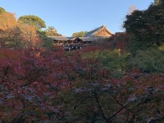 京都　ランチの後は…