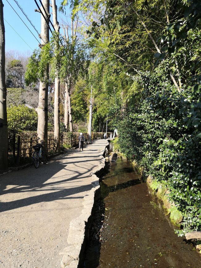 前回も普通に来た 梅がきれいな場所があるので 3月にまた来ようと決めていた<br />梅の情報を見ながら そろそろかなと思って行くことにした<br />今回は 暖かい日がちょうど日曜日と祭日になってしまったので ちょっとコムけど 府中郷土博物館の梅は月曜日に行こうと思って ホームページを見ると月曜日が休みだったので 電話して聞いてみたら 梅の時期はやっているらしい