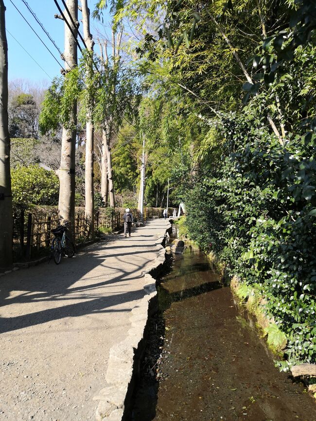 ☆都立東村山公園 国分寺お鷹の道 府中 郷土博物館の梅☆ バイク旅　アーバンホテル No1