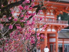 20210222-4 京都 下鴨神社、光琳の梅がえぇ感じかも