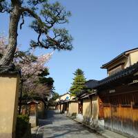 2021年3月・母子で行く桜満開の金沢★初北陸新幹線の旅～（前編）妙立寺・21世紀美術館・尾山神社・武家屋敷跡～