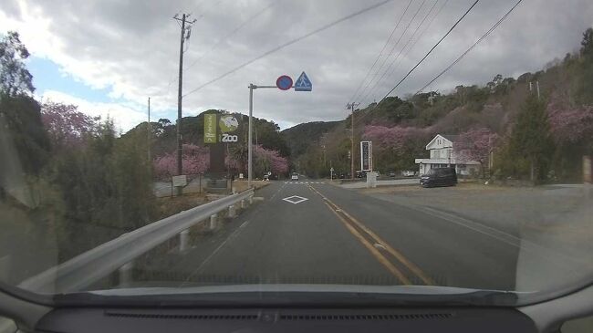 南伊豆へ行って来ました。<br />南伊豆の菜の花と河津桜を毎年見に来ています。<br />今回は、自転車も載せてきました。<br />今回は、その第1回で往路です。<br />主にドライブレコーダーとカーナビを使って静止画を撮ってそれをアップしています。<br /><br />★沼津河川国道事務所のHPの伊豆縦貫自動車道のページです。<br />https://www.cbr.mlit.go.jp/numazu/road/izu_jukan/<br /><br />★南伊豆町役場のHPです。<br />https://www.town.minamiizu.shizuoka.jp/<br /><br />★南伊豆町観光協会のHPです。<br />https://www.minami-izu.jp/