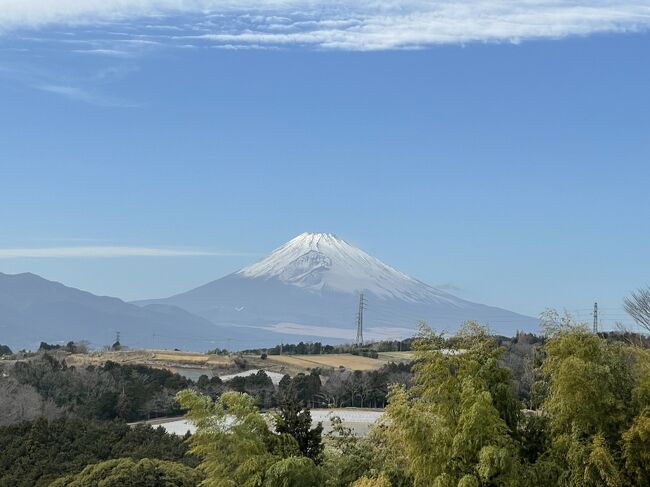 東海道を歩いて一気に制覇するのは時間的に難しい。<br />でも区間を決めて少しづつ何度も通いながら進めていけば制覇することは可能かもしれない。京都に着くのはいったいいつになるかわからないが歩き始めることにした。<br />7日目は箱根から沼津をめざす。箱根湯本から芦ノ湖畔同様石畳の登山道が整備されている。箱根峠以南は下り坂なので楽な行程となる。