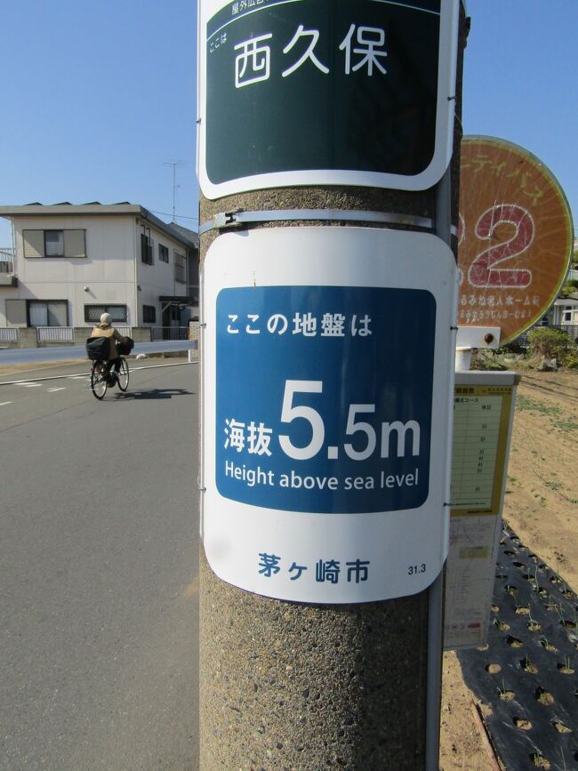 　マンホール蓋のデザインが烏帽子岩（https://4travel.jp/travelogue/11678752）であり、茅ヶ崎市は海（相模湾）に面した町である。10年前の大震災以降、海がある市町村では海抜表示するのが一般的であり、土木事務所や国道管理事務所や警察等でも海抜表示がなされることになって久しい。<br />　ここ茅ヶ崎市でも市が設置した海抜表示（https://4travel.jp/travelogue/11268995）が各所に見られる。一般に海抜が1桁程度と低いことは一見して気が付くが、こうした海抜表示の設置が平成31年（2019年）3月とあり、令和になる直前、一般には平成31年というよりは令和元年の印象が強い年である。こうした海抜1桁の地区に設置された海抜表示には「津波注意」が一体となったものが多いようだが、海岸から遠いこの辺りでは「津波注意」の表示はない。<br />　横須賀市の海抜表示のように紙の簡易なものででもなければ、こうした金属板製の海抜表示であれば10年やそこらは持つはずで、おそらくは、こうした茅ヶ崎市の海抜表示は最近になって新に増設されたもののようだ。<br />　海岸から遠いこの辺りでも脇に相模川が流れ、現実には津波があればこうした海抜1桁の地区は浸水の可能性がある。そうした理由で海抜表示が増設されたのであろう。<br />（表紙写真は西久保地区の海抜表示）