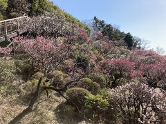 これは旅なのか？一人でぶらぶら歩き。池上梅園と古民家カフェちょっとだけ池上本門寺