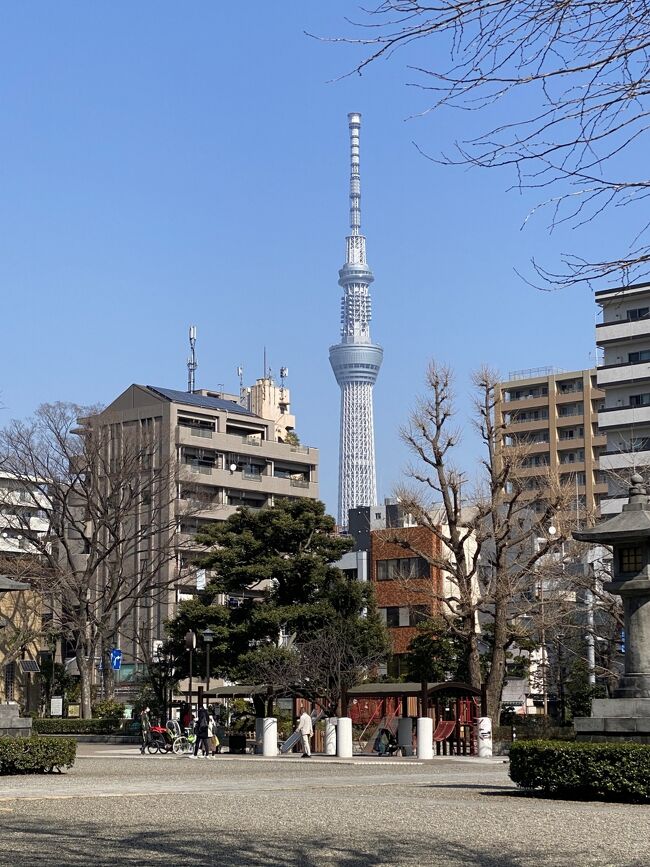 コロナ禍の東京<br />1月8日から2月7日までの緊急事態宣言が伸びて3月7日までとなり<br />自粛自粛で家籠りの毎日に疲れ果てました。<br /><br />木々も芽吹き始めたバレンタインデー（関係ないけど）のこの日<br />ひと月半ぶりにちょっとお出かけしてみました。<br /><br />目的は、江戸東京博物館に古代エジプト展を観に行くこと、<br />しかし！！<br />観たいくせに3密怖いバロン妻、午後二時周ると空いてそうです。<br />では、それまで江戸東京博物館周辺を散策することにしました。<br /><br />スケジュールは<br />横網町公園ー震災復興記念館ー東京慰霊堂ー旧安田庭園ー国技館<br />ー回向院ー吉良邸跡ー芥川龍之介石碑ー勝海舟生誕地ー江戸東京博物館<br />常設展ー古代エジプト展<br /><br />前編のこの回は旧安田庭園までです。<br /><br />回向院については猫塚があったのでニャンニャンニャンの猫の日にアップしました。