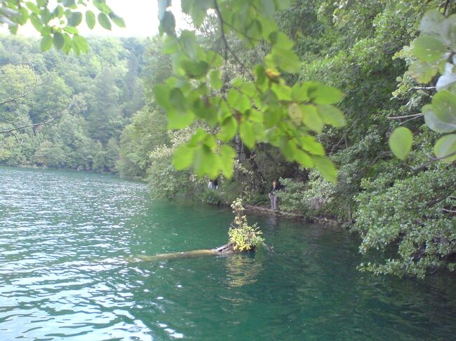 古い写真整理シリーズ。<br /><br />何かのついでにたまたま見かけたきれいな湖。調べてみるとクロアチアにあるプリトヴィツェという国立公園で、16の湖と92の滝があるらしい。<br />友達のデンちゃん誘って一緒に行ってきました。<br /><br />10年以上前の旅・・・ほとんど記憶ないし、プリトヴィツェらしい写真が全くない。今やったら絶対全部の湖と滝を数えてるはずやけど、それもしてないし。何しに行ったんや(笑)