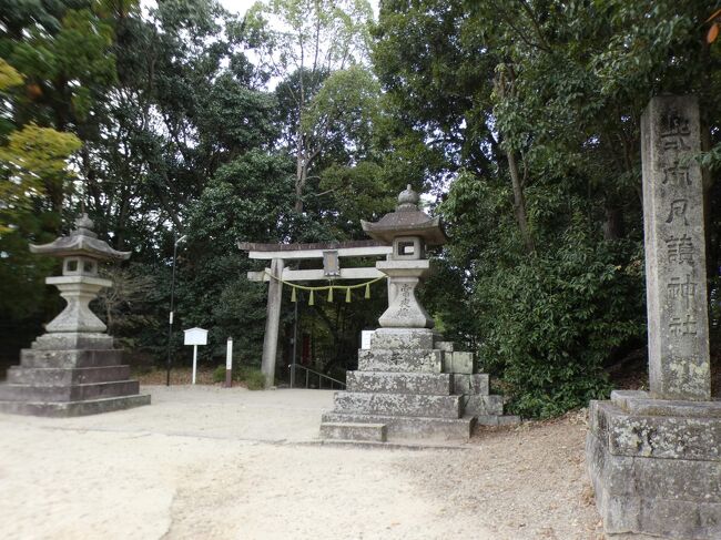 2020年11月1日(日)12時半過ぎ、特別公開されてた澤井家住宅の見学の後、月読神社に立ち寄る。澤井家住宅の西約1㎞。京田辺市の北部住民センター・大住中学校グランドと大住小学校との間にある。<br /><br />社伝によると、平安時代初期の809年に、社殿を平城京より平安京に遷した際、大住山において霊光を拝し、この地に社殿を建立したのを創建としている。859年には月読社と称する。<br /><br />鎌倉時代初めの1196年には、源頼朝から神馬の献上を受ける。中世にはたびたび兵乱、兵火を受けて、社殿の焼失と再興を繰り返した歴史があり、鎌倉時代末の笠置山の戦いでは後醍醐天皇の味方をして焼かれる。幕末の鳥羽伏見の戦いでは戦火を避けるため、石清水八幡宮が一時遷座され、御神宝が境内の薬師堂に安置された。<br /><br />月の神である月読尊と伊邪那岐(イザナギ)尊、伊邪那美(イザナミ)尊を祀っており、大社に位置づけられていた。月読尊は一般的にはツクヨミと呼ばれるが、伊勢神宮と月読神社ではツキヨミと呼ばれる。<br /><br />神宮寺として、宝生山福養寺が明治の初めごろまで存在し、奥ノ坊、新坊、中ノ坊、西ノ坊、北ノ坊、東ノ坊の六坊が備わっていたが、すべて廃寺となった。往事の社域は、大住小学校の北側あたりに北ノ坊の旧跡が調査で確認されており、かなり広大な社であったことがうかがえる。この神社と寺に奉納した能楽座を宝生座(外山座とも)と称した。<br /><br />毎年10月15日の例祭の宵宮(14日)には大住隼人舞が奉納され、無形民俗文化財に指定されている。隼人舞は岩戸神楽と共に日本民族芸能の二大源流とも云われる。奈良時代に九州南部から移住してきた大隅隼人が、郷土で行っていた舞を朝廷やこの神社に奉納して舞ったもので、この地が発祥地とされ一の鳥居の横に発祥之碑も建つ。また、この辺りの大住と云う地名も九州の大隅に由来と考えられている。<br /><br />一の鳥居は東向きに建っている。鳥居の先は石段で下る形になっており、いわゆる下り宮の格好となっている。石段を下りると右手に手水舎(下の写真1)。そこから小さな水路を渡ると二の鳥居。鳥居はいずれも石造り。<br /><br />鳥居の奥の拝殿は入母屋造・瓦葺きで1979年改築らしいが、拝殿の左には平成20年(2008年)改築記念の碑も建っている(下の写真2)。詳細不明。<br /><br />拝殿背後、玉垣に囲まれた区画が本殿域で、その中央に本殿が東面して鎮座する。一間社春日造・銅板葺(元は檜皮葺)の建物で、明治26年(1893年)に設計された。本殿を囲む玉垣の正面に鳥居を配置する珍しい構造だが、外からその鳥居は見えない。<br /><br />春日造は奈良の春日大社本殿の形式で、この様式は、奈良を中心に京都府南部、大阪府、和歌山県北部などに広く分布する。この辺り、大住地域の多くは、平安時代末期から室町時代末ごろまで奈良興福寺の荘園であった。<br /><br />境内には境内社が6社鎮座する。いずれも鎮座由緒等は不明。一の鳥居の右側が金比羅神社。その向かいの小高い丘の上に稲荷神社。二の鳥居を抜けた先の右に天満宮。本殿域の左側の御霊神社は少し立派で、玉垣の中に一間社春日造・檜皮葺きの社殿が東面して鎮座。<br /><br />御霊神社の前には森の中に遠景の池があるが、その中島に辯才天社。この池の辺りは神宮寺の福養寺の奥ノ坊庭園の一部らしい。その庭園の出口辺りに西面して建つ小祠が足の神様。<br /><br />境内には遥拝所が5つもある。明治天皇御陵と伊勢神宮、八幡宮、神武天皇、愛宕社だが後の2つの写真はない。<br /><br />境内の一番奥、南西角付近に元薬師堂跡の碑が建つが、福養寺のお堂の一つがあったところ(下の写真3)。また、その近くに立つヤマモモは樹齢100年以上で、京田辺の未来に継ぐ古木・希木の一つに選ばれている。<br />https://www.facebook.com/media/set/?set=a.4873003439436308&type=1&l=223fe1adec<br /><br /><br />大住車塚古墳に続く