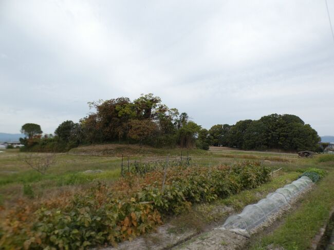 2020年11月1日(日)のお昼、京田辺市の北部、京奈和自動車道田辺北ICに近い大住地区の澤井家住宅から月読神社を訪ねた前後にこの地区の他のポイントもいくつか回った。月読神社の説明でも書いたが、地名の大住は約1300年前に九州南部の薩摩・大隅地方からこの地に移住した大隅隼人が、故郷を懐かしんで同じ読みに名付けたものが、時代を経て大住と云う漢字になったと考えられる。<br /><br />現在の京田辺市の北部を東西に走るJR学研都市線(片町線)と手原川より北側が1951年(昭和26年)に田辺町に編入されるまでがほぼ大住村だったようで、さらに云えば、1889年(明治22年)までは西半分は松井村だった。澤井家住宅がある大住岡村地区は、元々の大住村のほぼ中央に位置し、月読神社はそこから1㎞ほど西で、昔からの大住村の南西部に位置する。<br /><br />現在はJRの南側に大住ケ丘とか松井ケ丘とか大きなニュータウンが広がるが、これらは1970年代以降に開発されたところで、当時は山だった。ちなみに片町線は1898年(明治31年)にこの区間が関西鉄道として開通しているが、大住駅が出来たのは田辺町になった翌年の1952年。<br /><br />澤井家住宅から250mほど北西にあるのが大住車塚古墳。古墳時代中期、5世紀初期の築造と考えられる前方後方墳、智光寺(ちこんじ)山古墳とも呼ばれる。全長66mで、前方部は幅18m、高さ1.5m、後方部は一辺の長さ36m、高さ4.5m。古墳の周りには長方形の周濠の痕跡が残り、全長は約100mある。1974年に国の史跡に指定されている。<br /><br />棺が納められていた主体部は竪穴式石室か粘土槨であったと推測される。副葬品は不明。被葬者は6世紀初頭の第26代天皇の継体天皇の第8皇子と云われているが、この皇子は実在しなかったものと今は考えられている。まあ、時代があってないよな。<br /><br />南西側に並ぶ大住南塚古墳もほぼ同じ形・同じ大きさで、全長71mと少し大きい。こちらは発掘調査で4世紀終わり頃の築造とされている。被葬者は不明。こちらの周濠の一部は池として残っている。周濠をもつ前方後方墳が二基並ぶのは全国でも珍しい。どちらからも葺石と埴輪が発見されている。<br /><br />澤井家住宅のある大住岡村地区は古くから家が集まっていたようで、狭い区域に多くの寺社仏閣がある。澤井家住宅の南、直線距離だと100mほどのところにあるのは西光山円照寺。浄土真宗本願寺派のお寺と云うこと以外は不明。<br /><br />その向かいが法華寺。こちらは総本山身延山久遠寺の日蓮宗のお寺。山号は瑞應山。このお寺は由緒が分かっており、開創は室町時代で、大日堂盛行庵と称する醍醐三宝院の流派に属する真言密教の精舎として大住にその名を印していた。当時の本尊は雷除けの大日如来で、地域の信仰を集めていた。<br /><br />江戸初期の1638年、澤井家の縁を引く京都本國寺の名僧、喜見院日便上人が、その出身地に洛中の名刹曇華院宮や、三宝院門跡から寺領の分与を受け、六条本國寺第17世・鷲峰院日桓大僧正直筆の御本尊を頂き改宗、日蓮宗法華寺を建立。江戸中期の1799年の鐘楼堂再建の棟札には、曇華院宮・三宝院宮・旗本天野氏・澤井氏はじめ、村内外の氏名が連なっている。<br /><br />明治維新の鳥羽伏見の戦いの際には、曇華院宮が澤井家に避難されたが、このお寺に宮方の霊牌を安置して日々供養され、曇華院宮仮菩提所としてその所領を下賜されたが、大戦中の弱体化や戦後の農地解放に伴い、縮小を余儀なくされた。<br /><br />近年、1991年に開山日便上人第350遠忌を迎え本堂庫裡を新築。その後は京田辺市を中心に宇治市・城陽市・久御山町・八幡市・精華町・木津川市・枚方市と教線を拡大、また、青年信行組織「法華寺菩薩団」を結成し、宗教活動のみならず文化講座や芸術講演、コンサート、盂蘭盆の竹灯籠会などの地域社会に貢献すべく活動を展開している。<br /><br />本堂には法華経の救済世界を示した仏像の勧請、法華経守護の諸天善神が各種安置されている。題目宝塔を中心に釈迦如来・多宝如来が二仏並座し、上行・無遍行・浄行・安立行の四菩薩が左右に立ち添い、宗祖奠定の日蓮聖人大曼荼羅御本尊が背後に奉安されている。御本尊は久遠実成本師釈迦牟尼仏。永遠の昔から未来までずっとこの世に存在しているお釈迦様の意味で、それは実際に歴史上存在したお釈迦様を意味するのではなく、この世に存在する法華経の教えの原理そのものを意味する仏様だそうだ。<br /><br />山門は1990年に新築された薬医門。薬医門は2本の本柱の背後だけに控え柱を立て、切妻屋根をかけた門で、平屋建ての門の中で最も格式が高い門。その名は矢の攻撃を食い止める「矢食い(やぐい)」から来たとも、かつて医者の門として使われたことからとも云われる。門の脇に木戸をつけ、たとえ扉を閉めても四六時中患者が出入りできるようにしていたと云われるが、必ずしもこの構造である必要はないそうだ(下の写真1)。<br /><br />法華寺の東にあるのは来迎寺。浄土宗知恩院派で、山号は不動山。室町末期の1565年に道誉上人により開山され、江戸時代に京都・称名寺の浄西善廊によって再興されたと伝えられる。<br /><br />本堂は寄棟造。江戸時代初期の1679年に大阪平野町の井上庄三郎氏の寄進によるもので、1997年に改装された。ご本尊は木彫りの阿弥陀如来坐像で鎌倉中期の作。また昔から雨乞祈願の信仰があるというくり伽羅不動尊や、ニ五菩薩像、千体仏、脇侍観音勢至像も安置されている。<br /><br />境内には、本堂のほかに観音堂、地蔵堂、鐘楼、庫裡がある。観音堂に安置されている木造聖観音坐像は平安時代前期の作で、2014年に京田辺市指定文化財に指定されている。高さ93.2㎝で、針葉樹の一木造り。<br /><br />来迎寺の北隣りの天津神社は、平安中期の天禄年間(970~972年)の創祀と伝えられるが詳細は不明。もとは若宮社また若宮八幡とも呼ばれていた。江戸初期の元和3年(1617年)に社殿を修造したという棟札が残っており、それ以前の創祀であることは明らか。本殿は様式からすると江戸時代末期の一間社流造。桧皮葺の屋根は小屋組みがほとんどなく、平らな姿になっているのが特徴的(下の写真2)。<br /><br />天津神社と澤井家の間には大住岡村地蔵尊があるが、由緒等は不明。<br />https://www.facebook.com/media/set/?set=a.4873012472768738&type=1&l=223fe1adec<br /><br />1時前、大住観光を終了して、来た時と同じ京阪バスで戻った。<br /><br /><br />以上