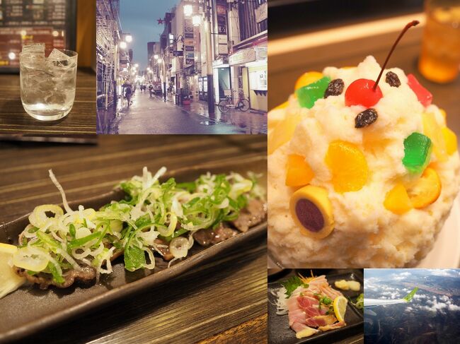 鹿児島旅最後の旅行記です。<br /><br />ずっと食べたかった白熊を食べにむじゃきに行きましょう。<br />おいしい白熊に感動♪<br /><br />ついでに鹿児島中央駅でお土産を買いました。<br /><br />夜は黒豚が食べたい!<br /><br />「黒べぇ」でおいしい黒豚をお腹いっぱい食べて大満足でした。<br />