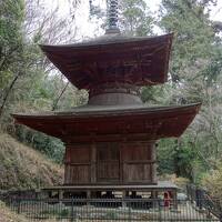 金山城・箕輪城・鉢形城・金鑚神社多宝塔・大光院（呑竜さま）