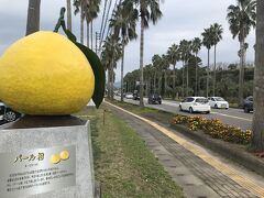 阿蘇・湯布院・別府　温泉紀行　二日目と三日目