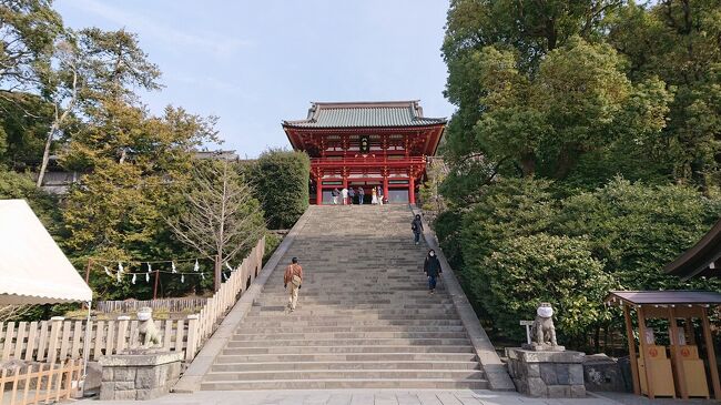 鶴岡八幡宮でお祓いし、鎌倉駅周辺を観光。<br />2月下旬で、一部の桜の花が咲き始め、<br />週末の鎌倉は緊急事態宣言中とはいえ込み合っているイメージでしたが、時間帯が午前中て言うことあり、比較的に空いていました。<br />また、小町通り、鎌倉駅周辺も同様。<br />この日のスケジュールは次のとおり。<br />09:40 若宮大路<br />09:50 鶴岡八幡宮<br />10:00~10:30 お祓い <br />10:00 加満久良<br />11:00 三河屋本店<br />11:15 小町通り、鎌倉帽子屋<br />11:20~12:25 ランチ(OXYMORON komachi)<br />12:30 岩座<br />12:50 蝶矢<br />13:15 丸七商店街<br />13:16 ケンタッキーフライドチキン<br />13:30 鎌倉駅<br />
