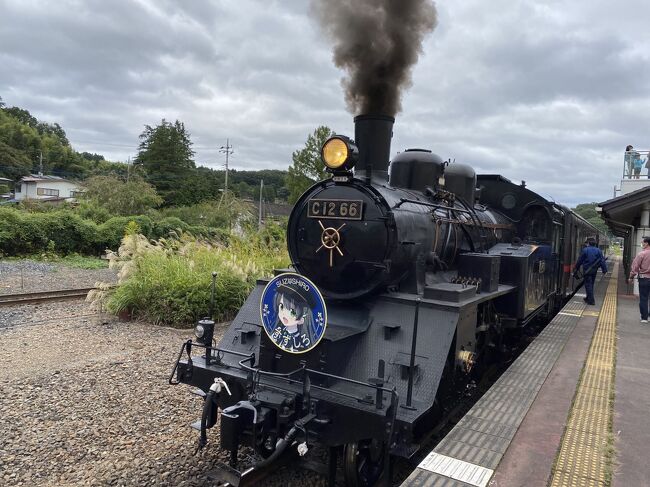 鉄印を求めて、鹿島臨海鉄道と真岡鐡道への日帰り乗り鉄です。<br />取手→水戸→大洗→水戸→友部→下館→(真岡)→茂木→下館→水海道→取手<br />