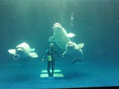 島根水族館1日目