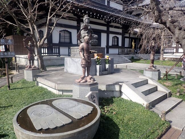第4番 長谷寺までは横浜弘明寺から約1時間でした。<br />一時期「江ノ電が込みすぎて入場規制」などというニュースがありましたが、今は昼頃ですがそれほど込んではいませんでした。<br />前回バイクの駐輪所が見つからずにパスをした長谷寺にも河津桜が1本ですが満開でした。<br />参拝を済ませてもまだ時間がありますので、ず~と行きたかった「新江ノ島水族館」を訪れました。