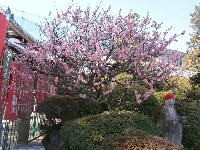  名鉄資料館に出かけたときに立ち寄った成田山大聖寺から始めた東海３６不動尊霊場の巡礼の３日目に出かけることにしました。今回は名古屋市交通局のドニチエコ切符を利用して名古屋市内のお寺を巡り、併せてＡＥＬネットのスタンプラリーの締め切りが明後日に迫っていたので、スタンプゲットのため対処施設にも立ち寄りました。