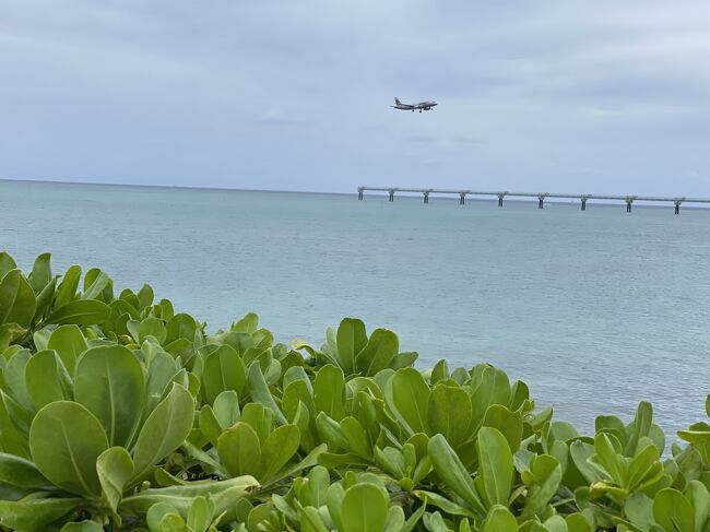2020慶良間旅行最終日。<br />最終日は生憎の雨模様。<br />無人島渡って海潜ることも叶わず、高速船で早々に座間味島を後にしました。<br />この日は、本当に単なる沖縄の街観光という感じになりました。