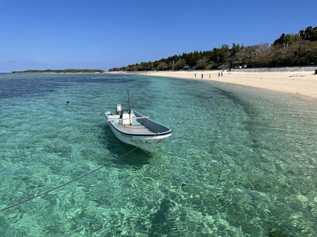 仔猫といっしょ計画（沖縄旅行２０２１　２日目 美ら海編）