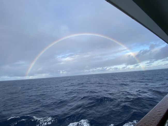 昨年後半から続けている日本の離島を潜る旅！<br /><br />奄美大島、久米島、石垣島、与那国島の次は小笠原諸島の父島に行ってきました。