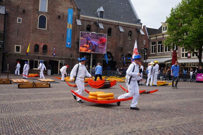 オランダのチーズ市は、ゴーダ、アルクマール、エダムやホールンなどで行われます。<br />その中でも最古で、最大規模のアルクマールのチーズ市。<br />毎週金曜日だけ行われています。アルクマールでは、2人1組になって重いチーズを軽々運んでいる。これはゴーダではやっていなかった。<br />チーズ市は地域によって、それぞれのやり方があるようです。<br />チーズ市めぐりをするのも楽しい。