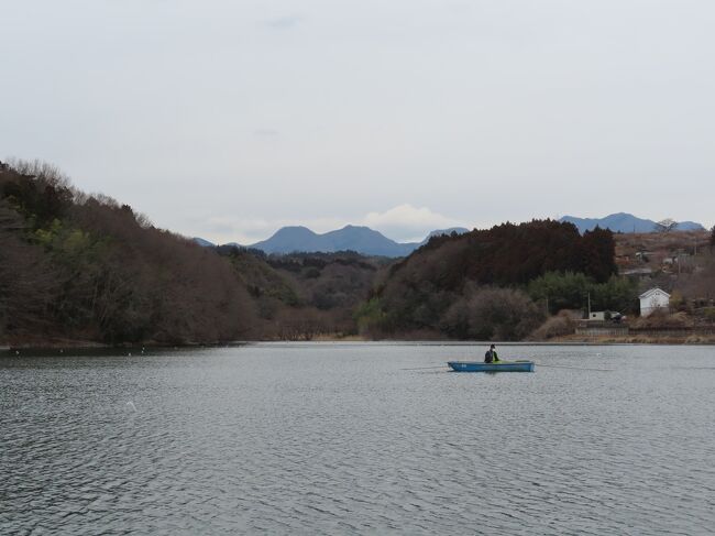 爺二人、相棒の運転で鳴沢湖へワカサギ釣りに行きました 2021/02/26<br /><br /><br />鳴沢湖は、農業用水の貯水池として昭和25年に完成した人造湖で、静かな山間にあり市民の憩いの場として親しまれているそうです。また、鳴沢湖ワカサギ釣りでも有名で、群馬県高崎市公営の釣り場です。<br />上州屋で買っておいたさし（ウジ虫）を持って、鳴沢湖へ行きました。前回下見で来た時は、強風でしたが、今日は風もなく釣り日和です。船は一隻の料金で格安になりますが、船酔いするので浮橋桟橋で釣ることにしました。1040円一人ですが、釣れないと言うことで、二人で1560円にして貰いました。管理の人から、今日も釣れないよと言われていたのですが、2月28日でワカサギ釣りは終わりになりますので、釣ることにしました。釣り道具は持って行きましたが、竿、救命具などは、無料で、えさや仕掛けは販売していました。釣り場に行くと、桟橋には7，8人、ボートは3人の人が来ていました。午前中は、幾らか釣れたそうですが、午後はさっぱり、アタリすらありませんでした。久しぶりにワカサギ釣りができて、坊主でも満足できました。<br />住所：〒370-3115 群馬県高崎市箕郷町富岡