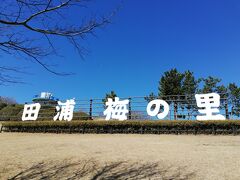 田浦 梅の里へ　&#127804;　娘とドライブ