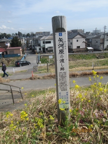 67　旧千歳堂、大師堂（流山市加・なし）、矢向原の渡しがあった場所で矢向原の渡しの標識が残っています。<br />江戸川霊場の歴史は古く、江戸時代の文政元年五月鰭ヶ崎東福寺となっており、当初は大師霊場二十一ヶ所で開創されました。六年後の文政六年、下総国最大の四郡大師霊場(千葉、印西、相馬、葛飾の各郡)の分裂と同じ頃に、江戸川八十八ヶ所となっています。江戸川霊場は、流山市鰭ヶ崎の東福寺が主導寺となり、松戸市、柏市、埼玉県三郷市にまたがって点在しています。現状は、欠け札所や移転があり、廃寺跡地、無住寺社堂などが増えてしまい、御朱印を揃えることは出来ません。私たちは、江戸川で栄えたのどかな風景を楽しみながら、民間が守ってきた霊場の姿にふれたいと思います。新四国相馬霊場八十八ヶ所を巡る会」Google の ホームページ、https://sites.google.com/site/kouon88/home/