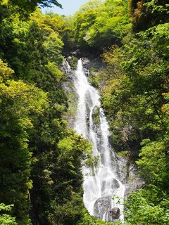 またまた悪友S（♀）がやってきた（３）　滝メグラーが行く２１９　旅の締めはやっぱり滝と温泉　岡山県真庭市のお手軽滝めぐり