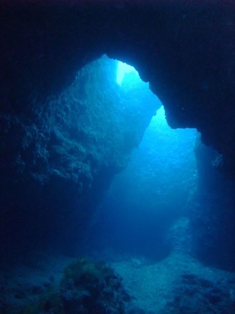 2010/12/26(日)-29(水)<br />3泊4日で鹿児島県沖永良部島へ行って来ました。<br /><br />水中では(ちょっと時期が早かったようで)ギンガメもイソマグロも全く現れずスカでしたが･･･(;･∀･)<br />寒かったけどお天気には恵まれて、楽しい旅行でした♪ヽ(´▽｀)/