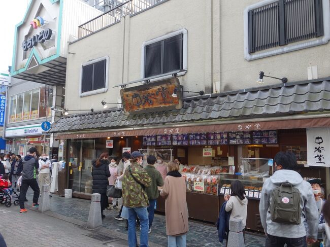 コロナ禍ですっかり人出がなくなっていた奈良の街も,日曜日の午後,すこし戻ってきたようです。奈良もたいへんだったのでしょう。