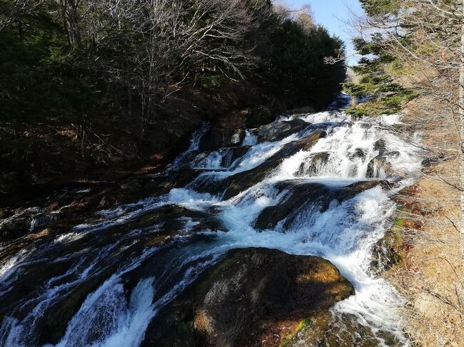 たまにはベタな観光旅行2011　　「GoTo利用で、日光（東照宮・二荒山神社・輪王寺・中禅寺湖・戦場ヶ原・杉並木・日光ゆば）」　～栃木～