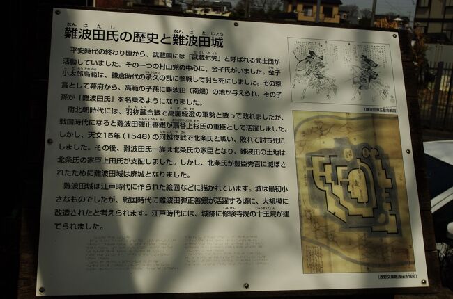写真は、公園入り口にある「難波田城の歴史」の案内<br /><br /><br />難波田城趾は富士見市にあります。ここは十数年前に訪れたことがあり、そのときは、案内板があるだけだったと記憶しています。もしかしたら、堀も一部あったのかも知れません。<br /><br />このお城は難波田氏の居館でした。難波田氏は、武蔵七党である村山党を構成する金子氏を祖として、そこからでた一族が地名をとって難波田氏を名乗ったと言われています。<br /><br />難波田城は当初は小さな館でしたが、戦国時代大規模な平城へと変貌を遂げました。しかし、戦国時代、難波田氏は後北条氏に属し、後北条氏が豊臣秀吉に敗れると、この城は廃城となりました。<br /><br />廃城になった後の江戸時代前期、修験道寺院である十玉院は、院主が難波田氏縁者であったことから、この城趾に移転を許されたそうです。しかし、その十玉院も明治の修験道廃止令によって廃寺になってしまいました。<br /><br />現在、難波田城趾は公園として整備され、城趾ゾーンと古民家ゾーン（城趾とは関係が無い）に分かれています。<br /><br />ただ、難波田城趾ゾーンは、発掘と古地図を参考に整備されたようですが、現状が古地図とは合わない気がしました。<br />