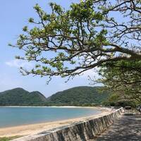 奄美大島・加計呂麻島への旅